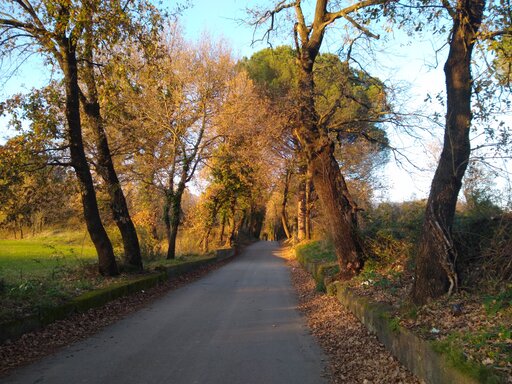 santi_cosma_e_damiano/IMG_20240123_162548.jpg
