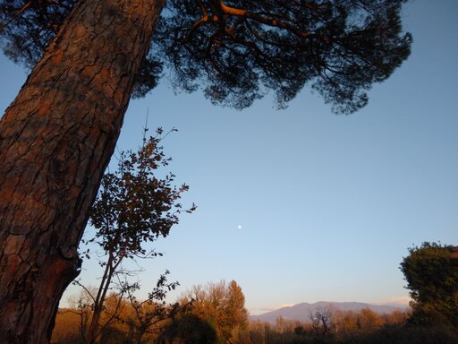 santi_cosma_e_damiano/IMG_20240123_163137.jpg