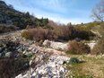 santi_cosma_e_damiano/IMG_20240124_144121.jpg
