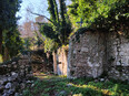 santi_cosma_e_damiano/IMG_20240129_095618.jpg