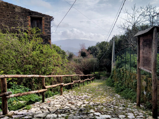 santi_cosma_e_damiano/IMG_20240224_103239.jpg