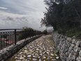 santi_cosma_e_damiano/IMG_20240224_103642.jpg