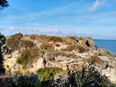 sorrento/IMG_20240206_114729.jpg