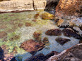 sorrento/IMG_20240206_121526.jpg