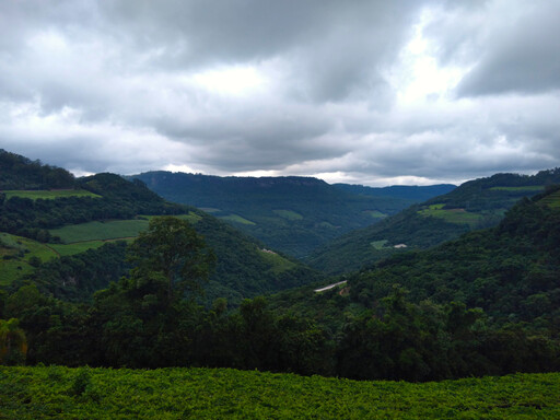 terceira_legua4.jpg