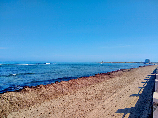 trapani/IMG_20250423_100113.jpg