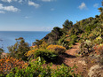 ustica/IMG_20250425_090108.jpg