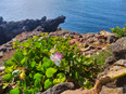 ustica/IMG_20250425_092440.jpg
