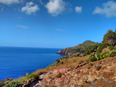 ustica/IMG_20250425_095149.jpg