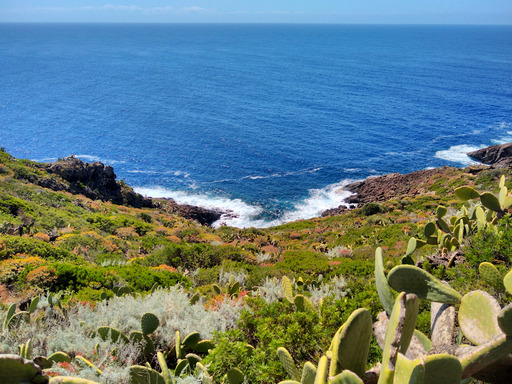 ustica/IMG_20250425_114531.jpg