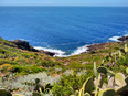 ustica/IMG_20250425_114531.jpg