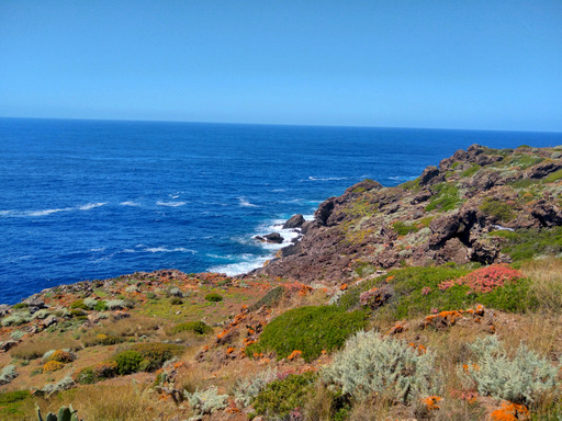 ustica/IMG_20250425_115623.jpg