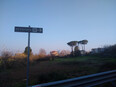 via_francigena/IMG_20240127_152553.jpg